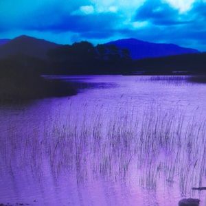 Meet your Posher, Ernesto